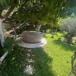 Garden Antique With Bubble * Dubrovnik
