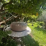 Garden Antique With Bubble