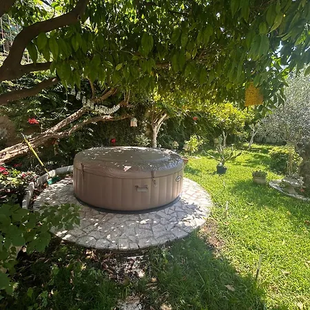 Garden Antique With Bubble