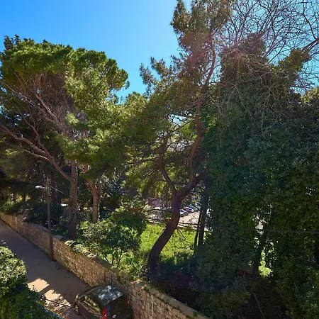 Garden Antique With Bubble Daire *